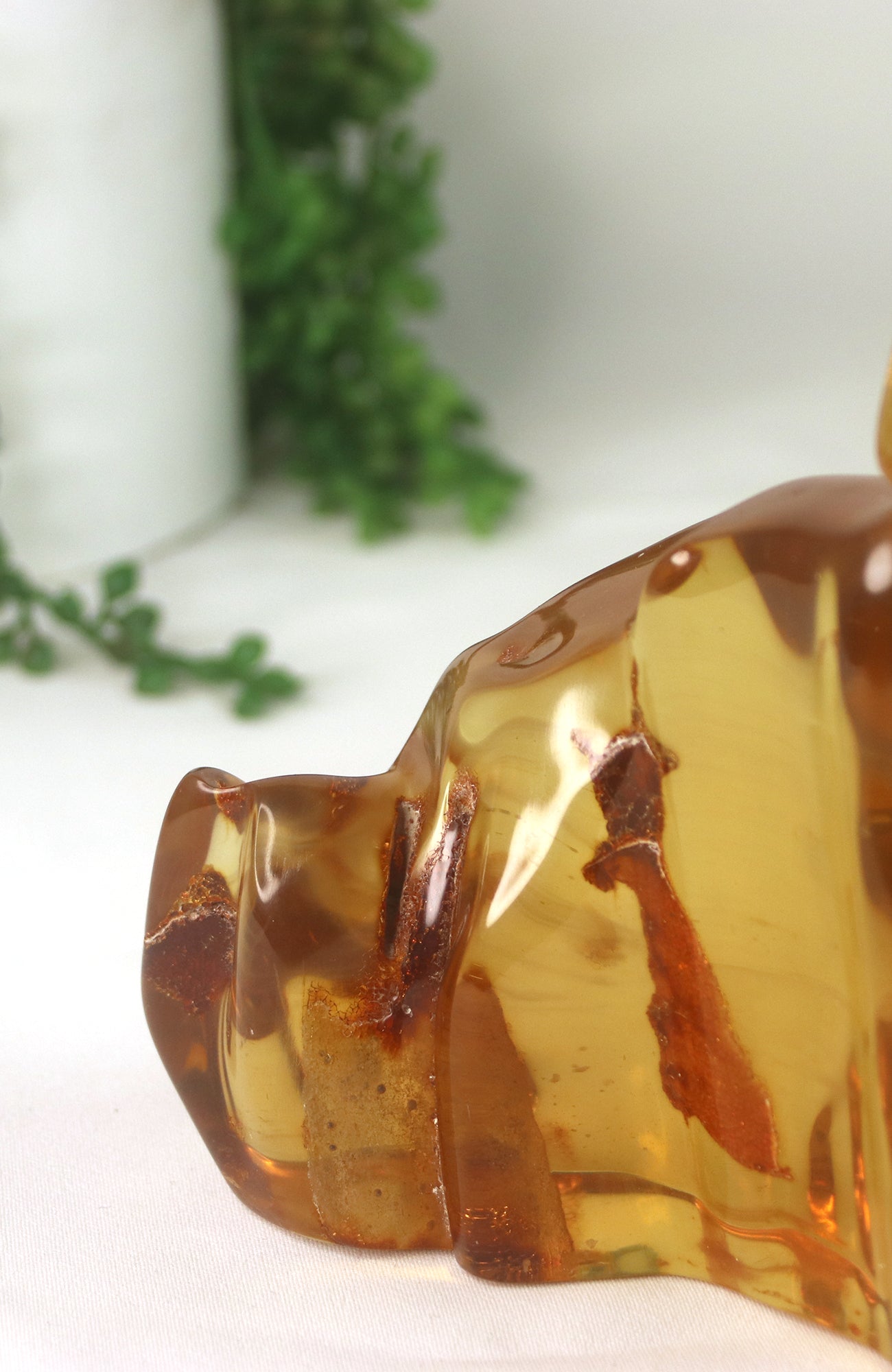 Amber Piece with insects